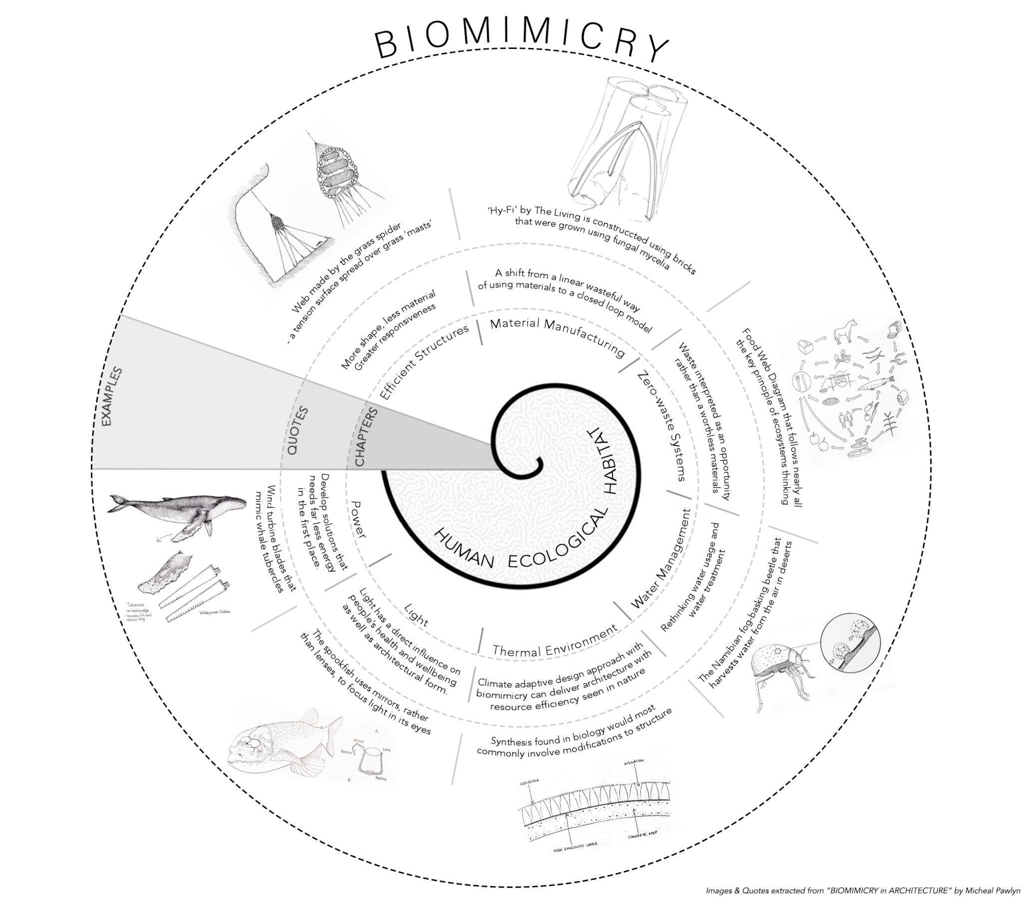 biomimicry-in-architecture-by-michael-pawlyn-ecological-thinking-ii