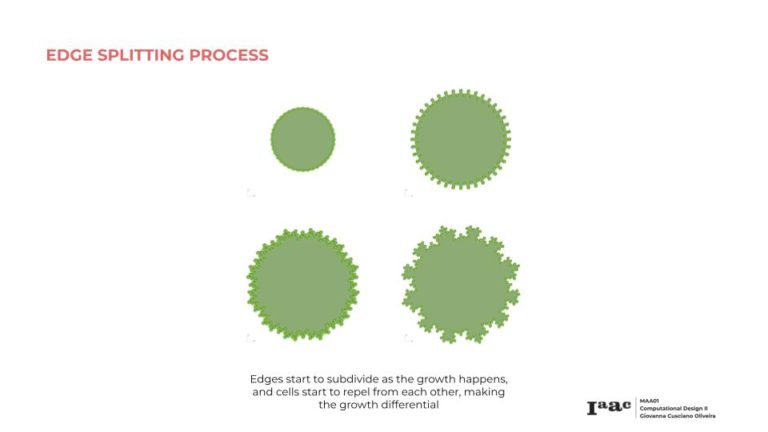 Plants Differential Growth – IAAC BLOG