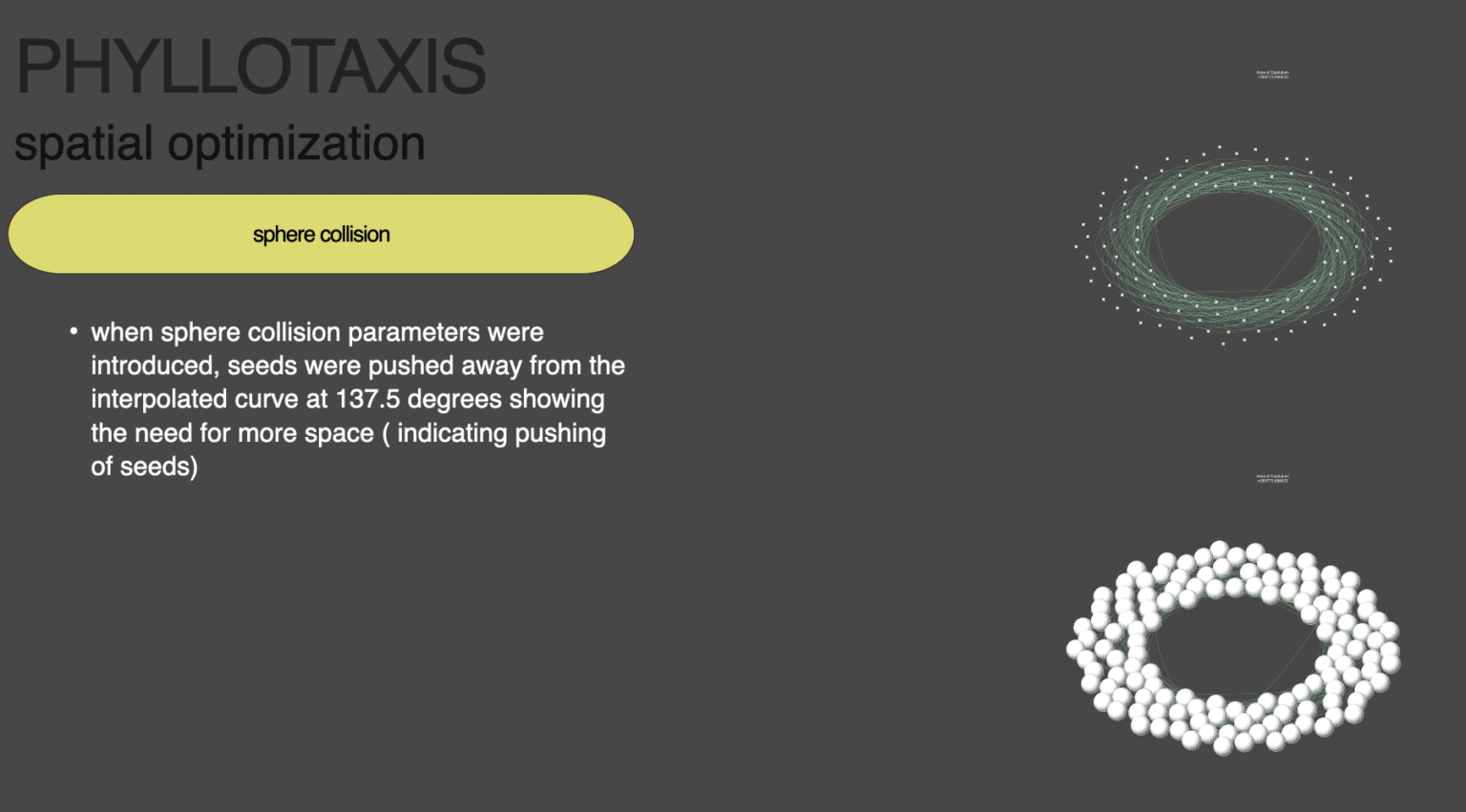 Exploring the golden ratio in Sunflower Seed Distribution - IAAC BLOG