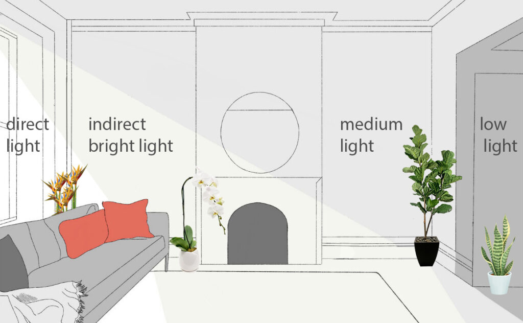 Types of Light