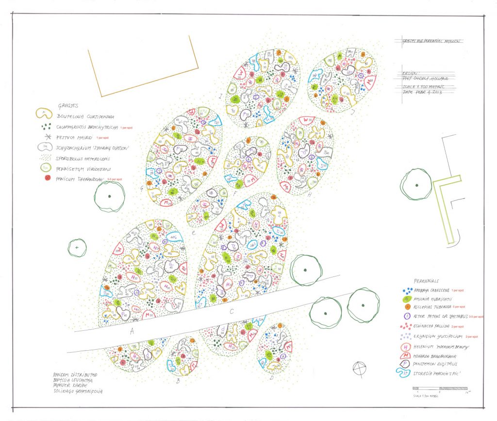 Sketch for Perennial Meadow, 2013. Courtesy of Piet Oudolf