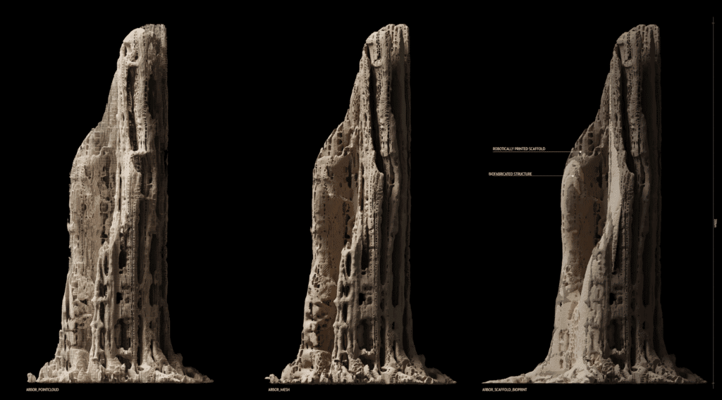 Arbor installation by Aldo Sollazzo and Maria Kuptsova – photo courtesy of mariakuptsova.com